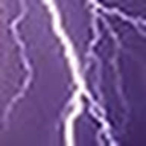 Meet your Posher, Bryant